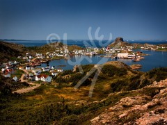 Fogo
